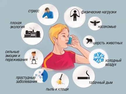 Аллергены, которые могут спровоцировать приступ астмы