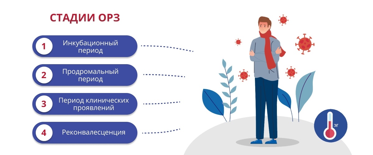 Стадии ОРЗ